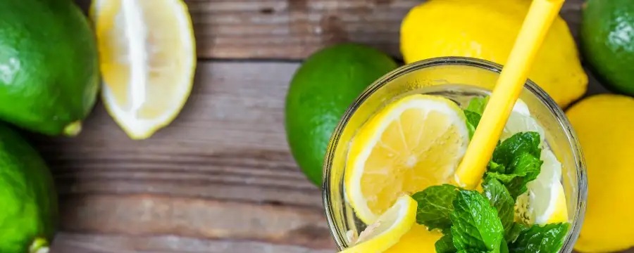 Fresh citrus and mint in a glass with lemons and limes